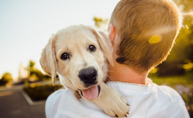 ¿Cómo afecta la alimentación natural al estado de ánimo de mi perro o gato?