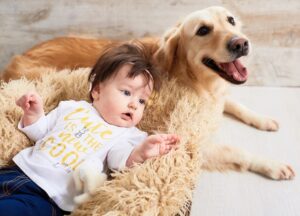 Cómo preparar a tu perro o gato para la llegada de un bebé